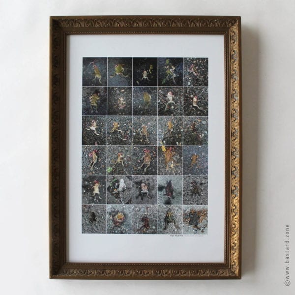 Frogtot / Sieg der Pirelli